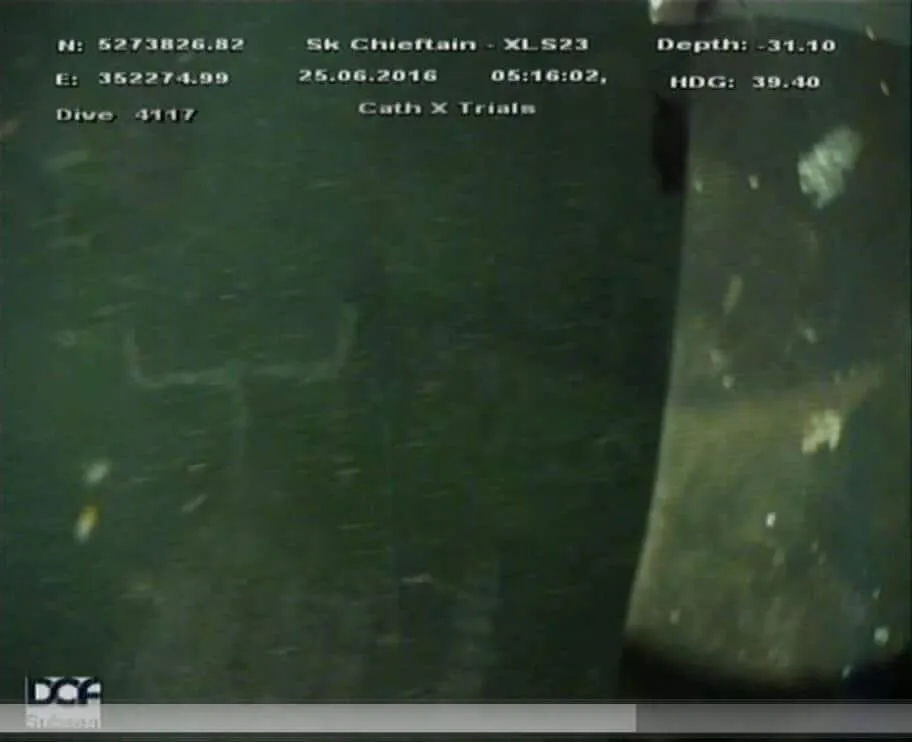 Before Cathx image enhancement