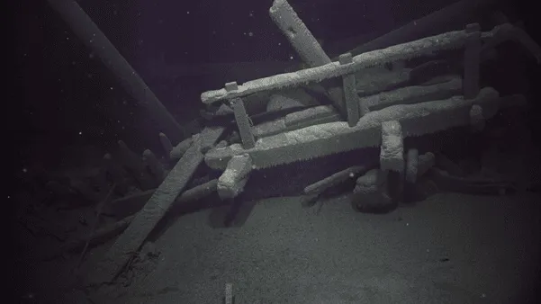 High resolution under sea image